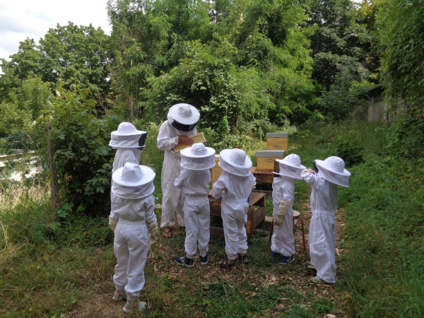 Animation près des ruches © Eco accueil des Gallicourts